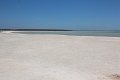 Shark Bay Shell Beach (4)